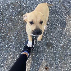 Meet your Posher, Karley